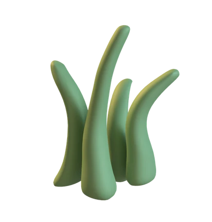 Grass
